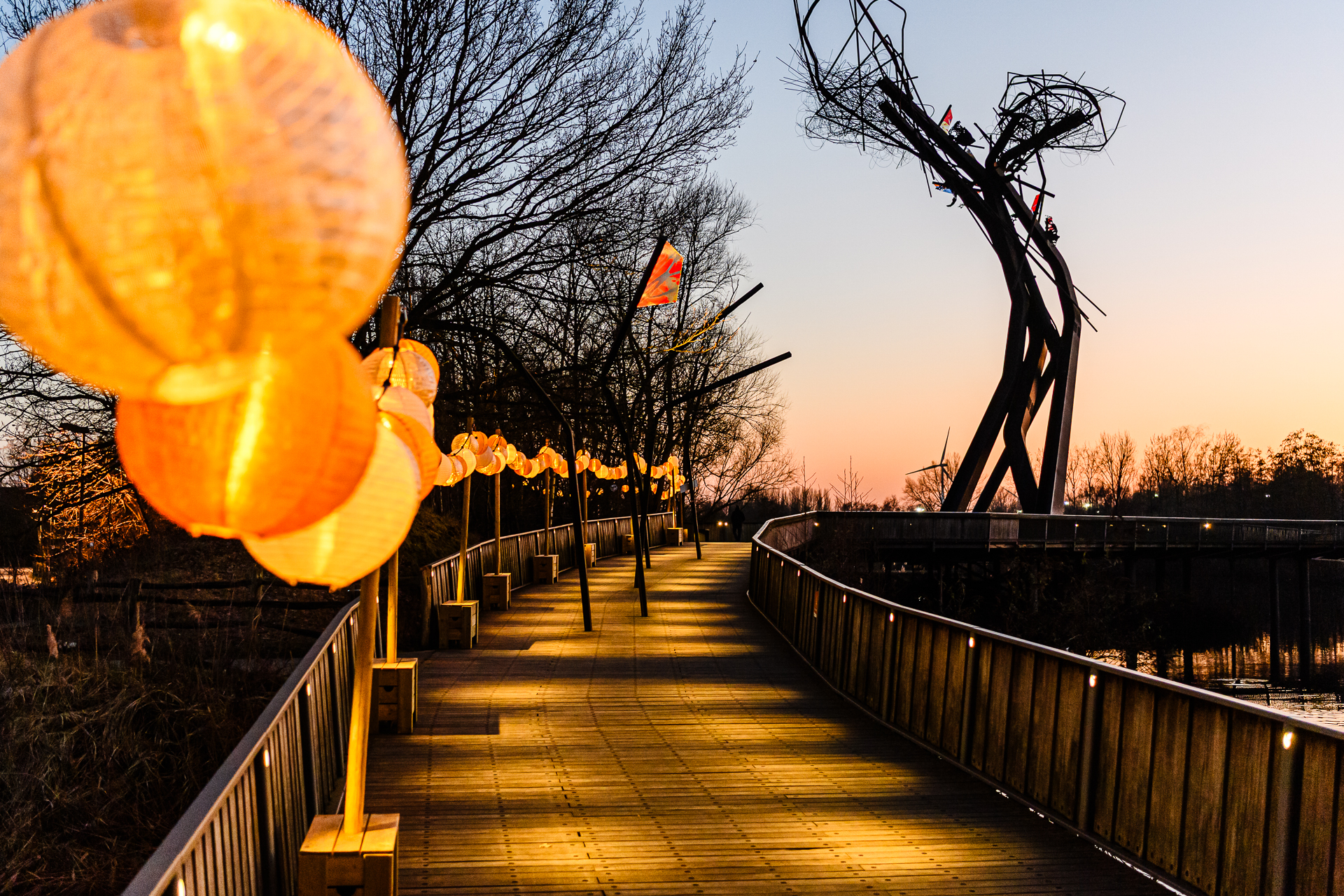 Lichtpuntjes