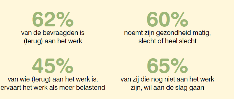 cijfers studie werken