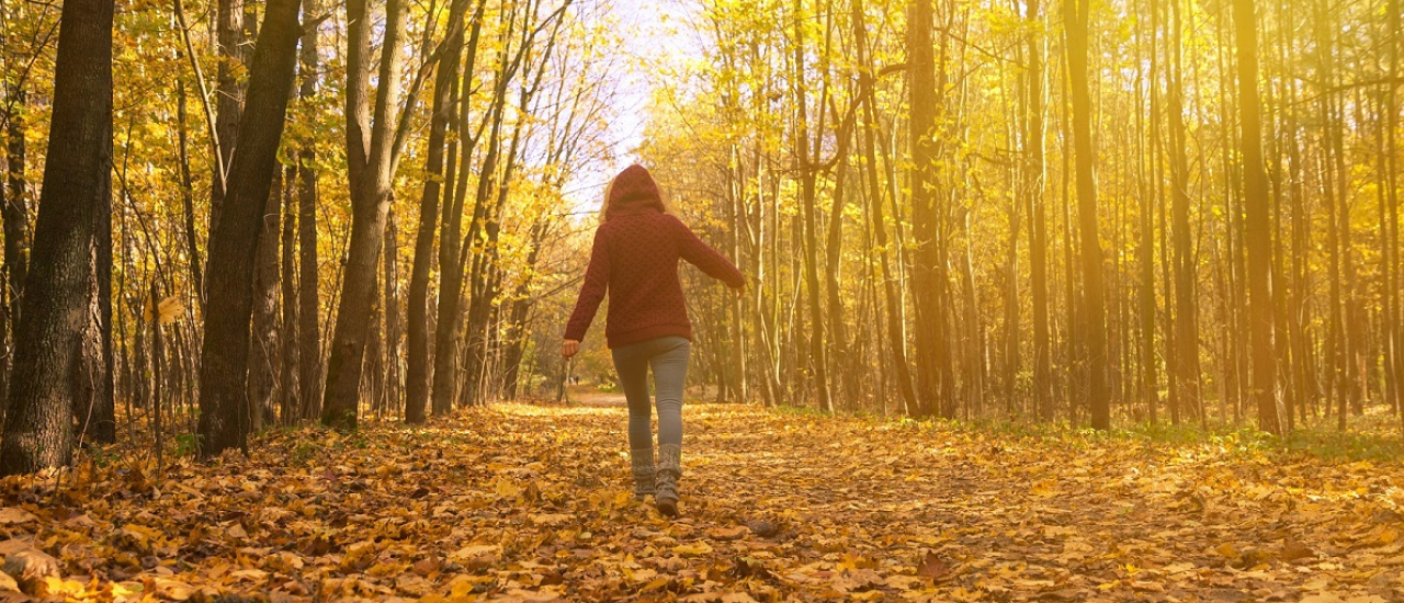 Vrouw wandelt in bos