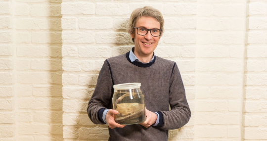Tim Nawrot