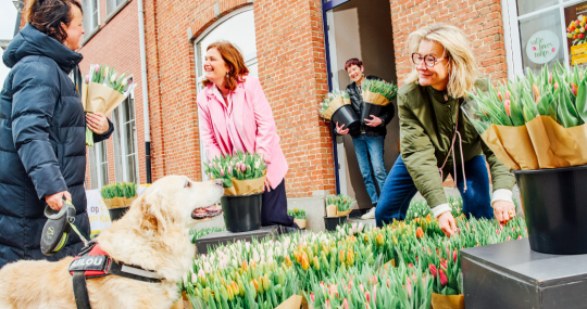 Tulpenverkoop t.v.v. Kom op tegen Kanker